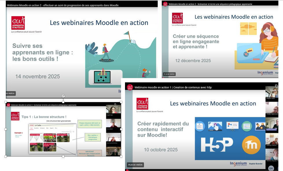 Captures écran Webinaires "Moodle en action"